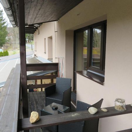 Pension Aura Spicak, Nektere Pokoje Se Saunou Zelezna Ruda Exterior photo
