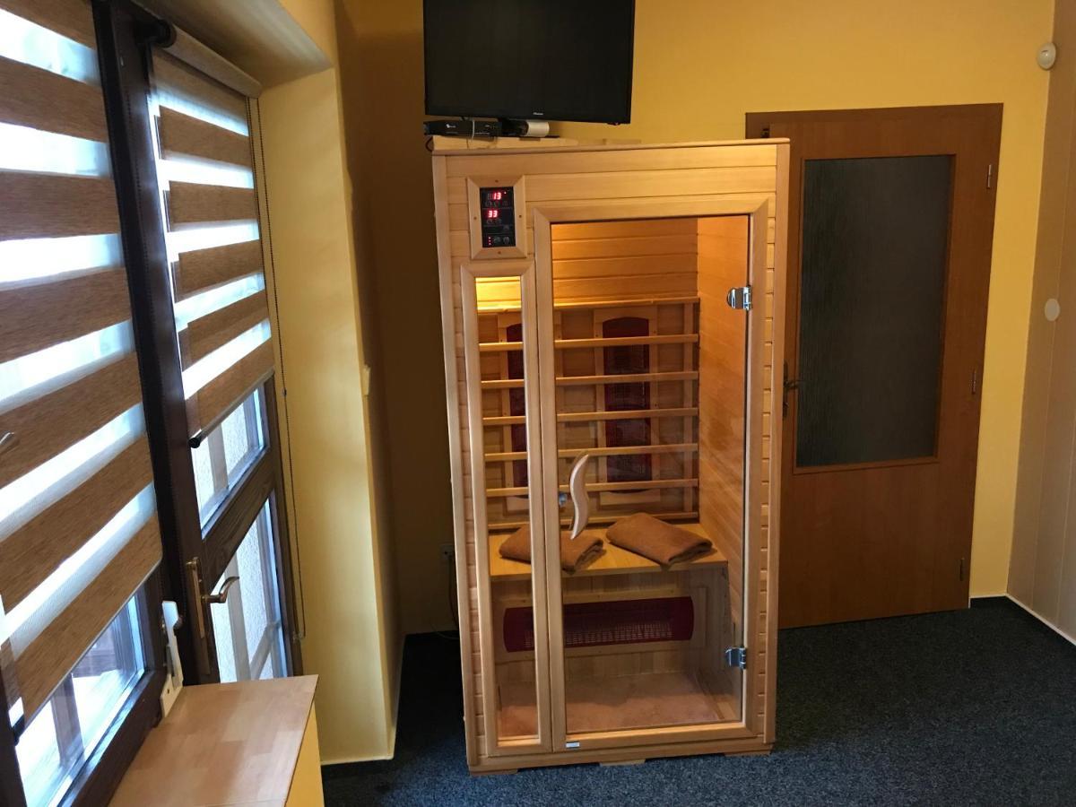 Pension Aura Spicak, Nektere Pokoje Se Saunou Zelezna Ruda Exterior photo