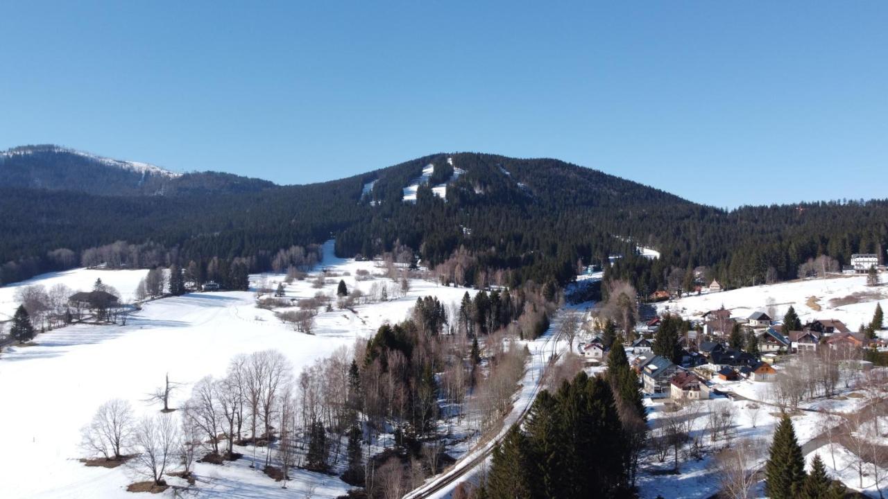 Pension Aura Spicak, Nektere Pokoje Se Saunou Zelezna Ruda Exterior photo