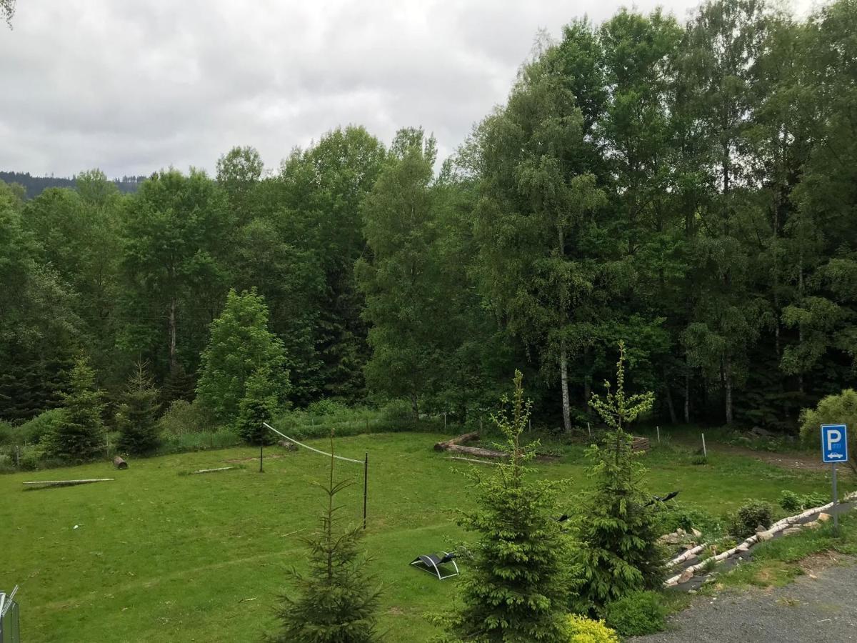 Pension Aura Spicak, Nektere Pokoje Se Saunou Zelezna Ruda Exterior photo
