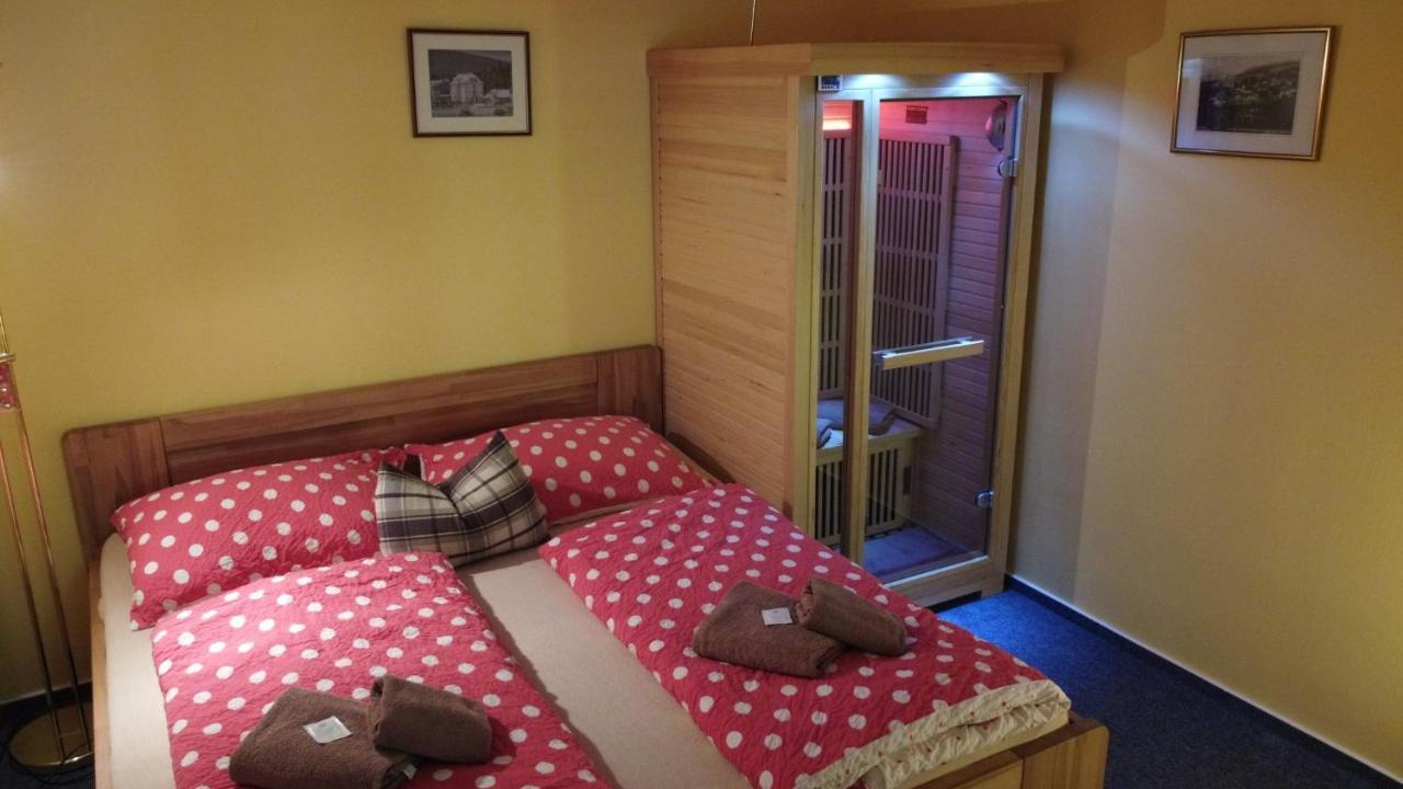 Pension Aura Spicak, Nektere Pokoje Se Saunou Zelezna Ruda Exterior photo